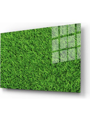 Marsilyan Doğa, Manzara 3D Dekoratif Baskı Yatay Cam Tablo 01