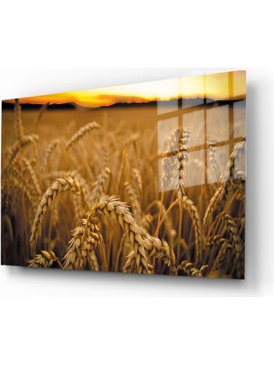 Marsilyan Doğa, Manzara 3D Dekoratif Baskı Yatay Cam Tablo 01