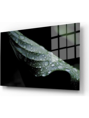 Marsilyan Doğa, Manzara 3D Dekoratif Baskı Yatay Cam Tablo 01