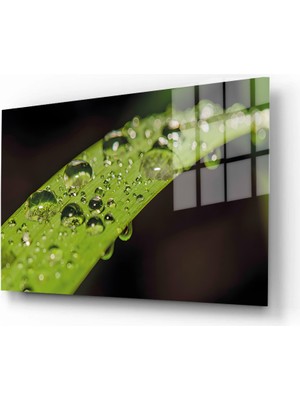 Marsilyan Doğa, Manzara 3D Dekoratif Baskı Yatay Cam Tablo 01