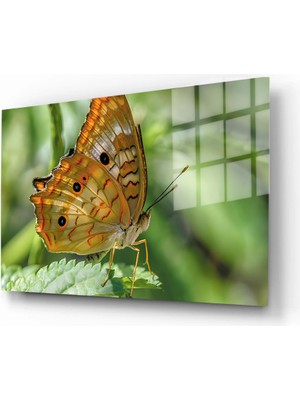 Marsilyan Doğa, Manzara 3D Dekoratif Baskı Yatay Cam Tablo 01