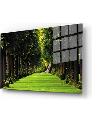 Marsilyan Doğa, Manzara 3D Dekoratif Baskı Yatay Cam Tablo 01