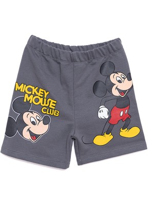 Disney Mickey Mouse Erkek Şort Erkek Bebek