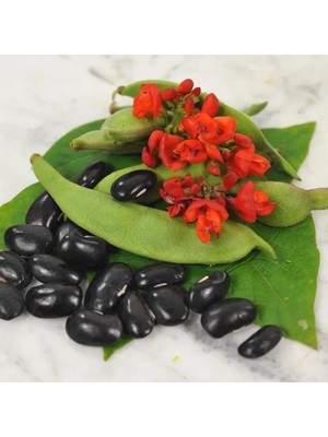 Miracle Geleneksel Malezya Siyah Sırık Fasulye Tohumu (10 Tohum)