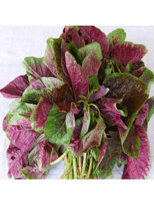 Miracle Ata Tohumları Geleneksel Şifa Deposu Kırmızı Amarant Sebzesi Tohumu(50 Tohum)