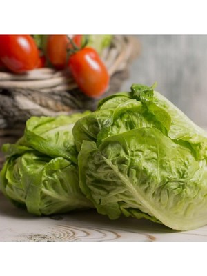 Miracle Geleneksel Tohumlar Doğal Sugar Leof Şeker Marul Tohumu(100 Tohum)