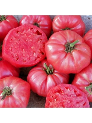 Miracle Ata Tohumları Kahvaltılık Sofralık Ege Pembesi Domatesi Tohumu (20 Tohum)