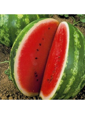 Miracle Geleneksel Tohum Yüksek Aromalı Crimson Sweet Karpuz Tohumu (20 Tohum)