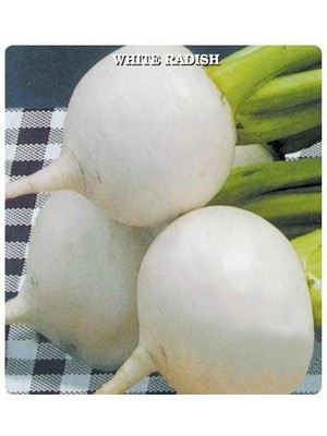 Miracle Ata Tohumu Geleneksel Anadolu Beyaz Turp Tohumu (50 Tohum)