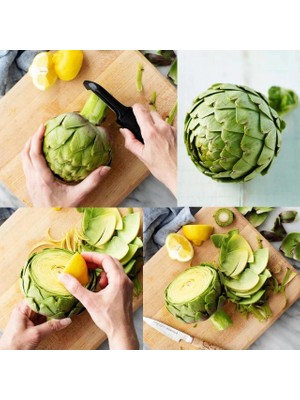 Miracle Ata Tohumları Geleneksek Yeşil Green Globe Enginar Tohumu(10 Tohum)