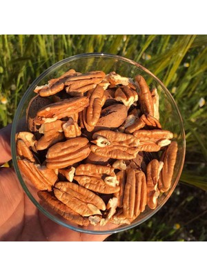 Sahil Pikan Cevizi Tohumu (4 Adet)