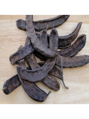 Doğal Amerikan Carop(Harnup) Ağacı Tohumu(5 Tohum)