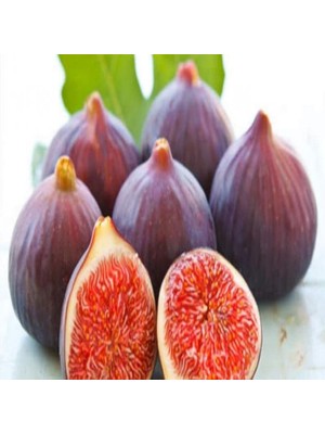 Bursa Siyahı Dürdane Incir Tohumu (5 Adet)