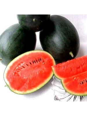 Miracle Doğal Dark Green Karpuz Tohumu(10 Tohum)