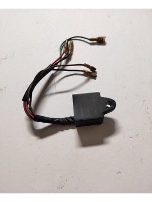 Ateşleme Ünitesi (Manyeto) EF950,GL950,PA1000