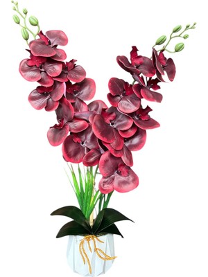 Beyaz Renkli Beton Saksıda 2 Dallı Islak Dokulu Yüksek Kaliteli Yapay Orkide