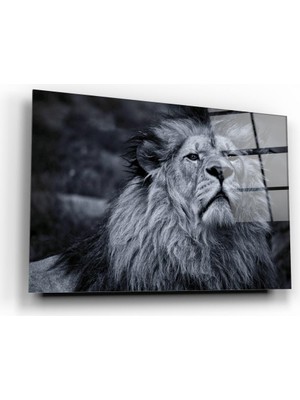 Marsilyan Aslan Cam Tablo | Hediyelik, Dekoratif, Ofis, Mutfak