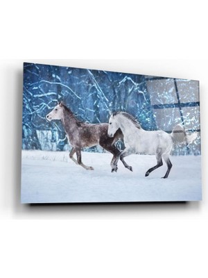 Marsilyan Atlar Cam Tablo | Hediyelik, Dekoratif, Ofis, Mutfak