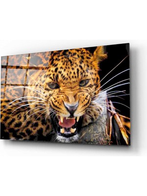 Marsilyan Leopar Cam Tablo | Hediyelik, Dekoratif, Ofis, Mutfak