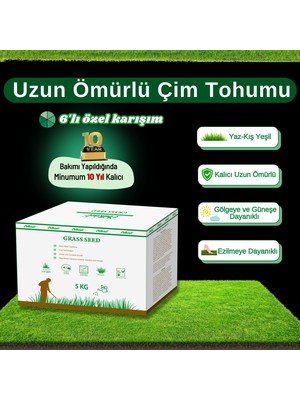 Ebitkisel Çok Yıllık Çim Tohumu 5 kg Uzun Ömürlü 6'lı Karışım Gölge ve Aşırı Güneşli Alan Uygun Yetiştirilmesi Kolay 4 Mevsim Yeşil