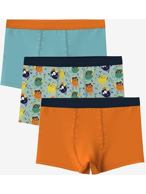 Lcw Kids  Baskılı Erkek Çocuk Boxer 3'lü