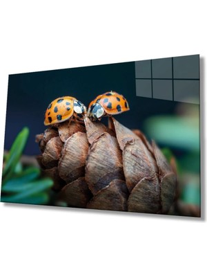 Uğur Böceği ve Yaprak Cam Tablo, Ev ve Ofis Duvar Dekoru,  Büyük Temperli 4 mm Cam Tablo