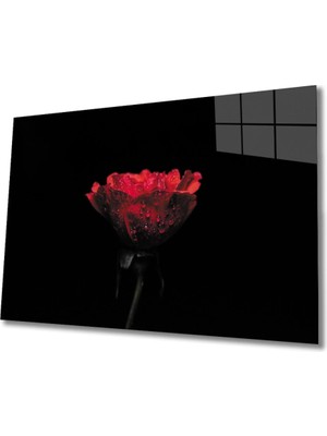 Damalı Gül Cam Tablo