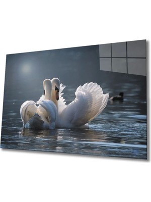 Marsilyan Ördek Cam Tablo