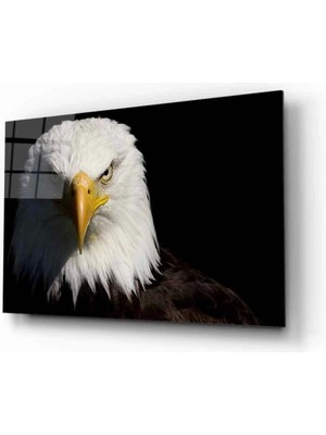 Kartal 7 Hayvan Cam Tablo