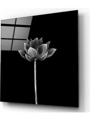 Marsilyan Çiçek Cam Tablo