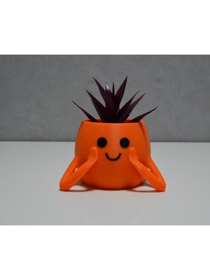 3D Neşeli Mini Saksı Turuncu