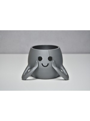 3D Neşeli Mini Saksı - Gümüş