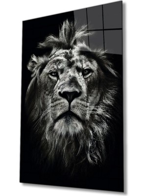 Marsilyan  Aslan Hayvan Portresi Cam Tablo, Ev ve Ofis Duvar Dekoru, Hediyelik Büyük Temperli 4 mm Cam Tablo
