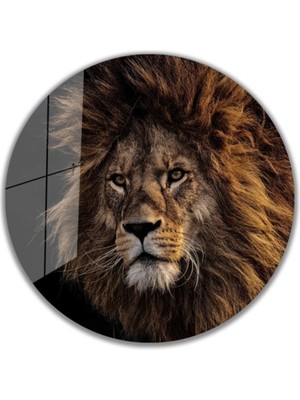 Aslan Yuvarlak Cam Tablo 4mm Dayanıklı Temperli Cam