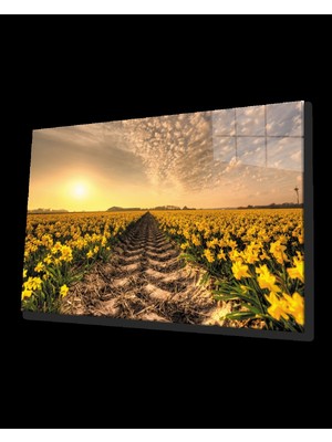 Marsilyan- Gün Batımı Toprak Sarı Çiçekler Cam Tablo