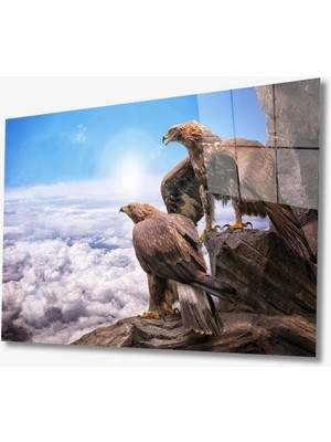 Marsilyan Kartal Hayvan Cam Tablo 4mm Dayanıklı Temperli Cam