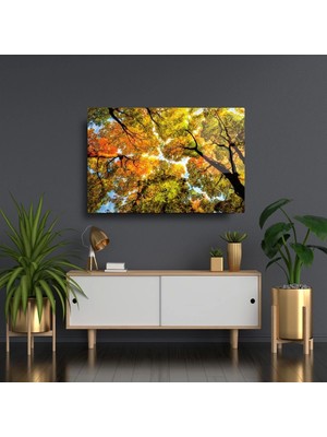 Marsilyan Yeşil Ağaçlar Gökyüzü Sanatsal Cam Tablo