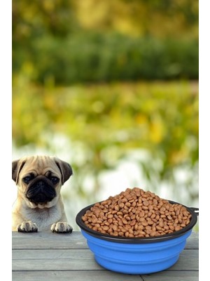 Gampus Taşınabilir Katlanabilir Kedi Köpek Mama Su Kabı, Evcil Hayvan İçin Pratik Kap Ve Tas