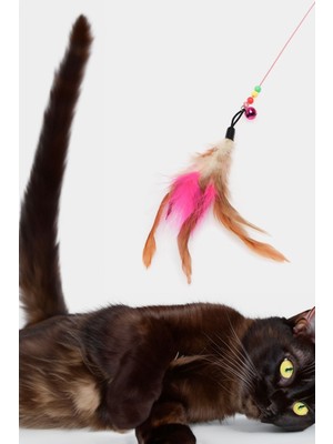 Gampus 90 cm Kedi Oyun Oltası, Renkli Ve Eğlenceli Oynatma Oltası, Kedi İçin