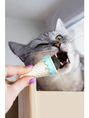 Gampus Dondurma Şeklinde Kedi Nanesi 180 Derece Dönen Nane Topu