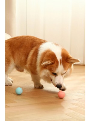 Evcil Hayvan Hareketli Kedi Köpek Oyuncağı Şarjlı Kedi Köpeğinizden Kaçar Oyuncak
