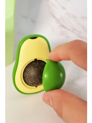 Gampus Kedi Yalama Topu Avakado Tasarımlı Nane Aromalı