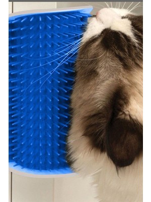 Gampus Cat It Pratik Kedi Tüyü Kaşıma Ve Tarama Aparatı, Duvara Monte Pratik Kaşıma Aracı
