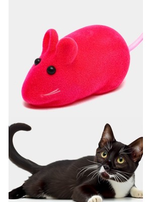 Gampus Kedi Eğitim Oyun Faresi, Sesli, 2 Adet Kedi Egzersiz Oyuncağı Ve Oyun Aracı