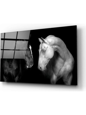 Marsilyan- Atlar Cam Tablo