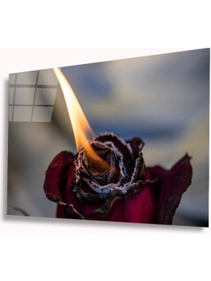 Marsilyan- Ateş ve Gül Cam Tablo