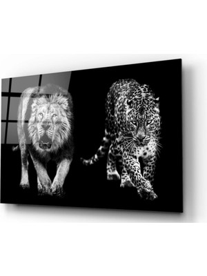 Marsilyan- Aslan ve Leopar Cam Tablo