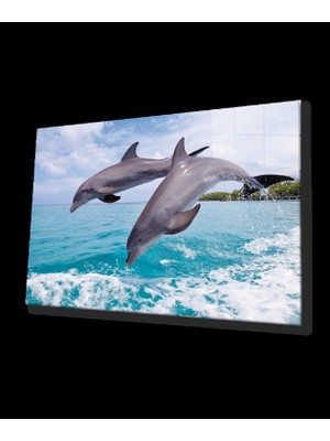 Marsilyan- Yunus Balıkları Cam Tablo Dolphins