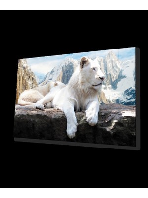 Marsilyan- Aslan Cam Tablo