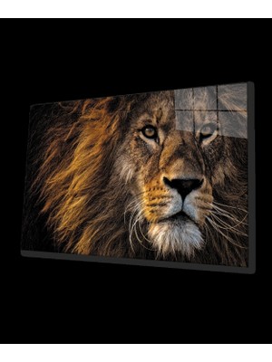 Marsilyan- Aslan Cam Tablo